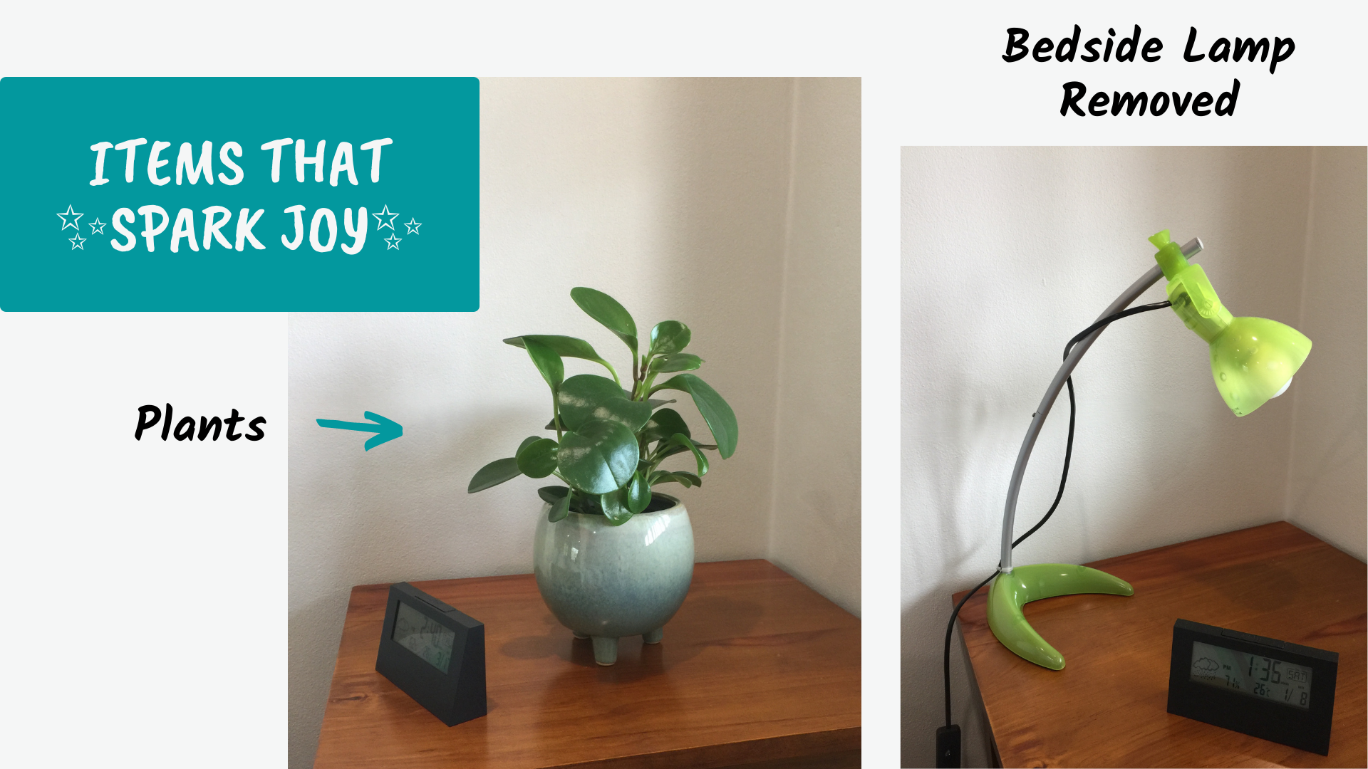 Plants Plants
