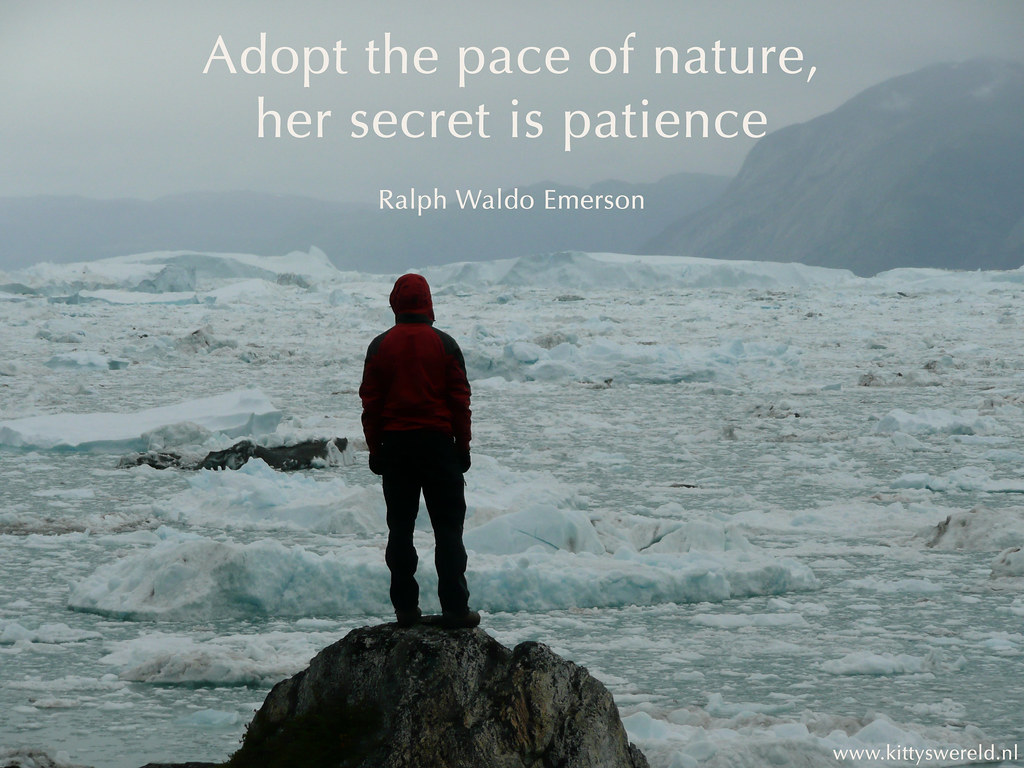 Adopt the pace of nature, her secret is patience Adopt the pace of nature, her secret is patience