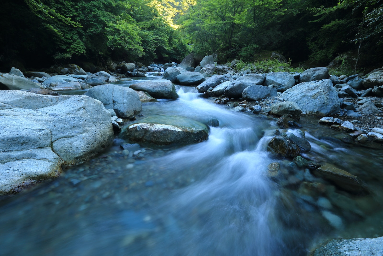 Photo by kazuend body river surrounded by dress