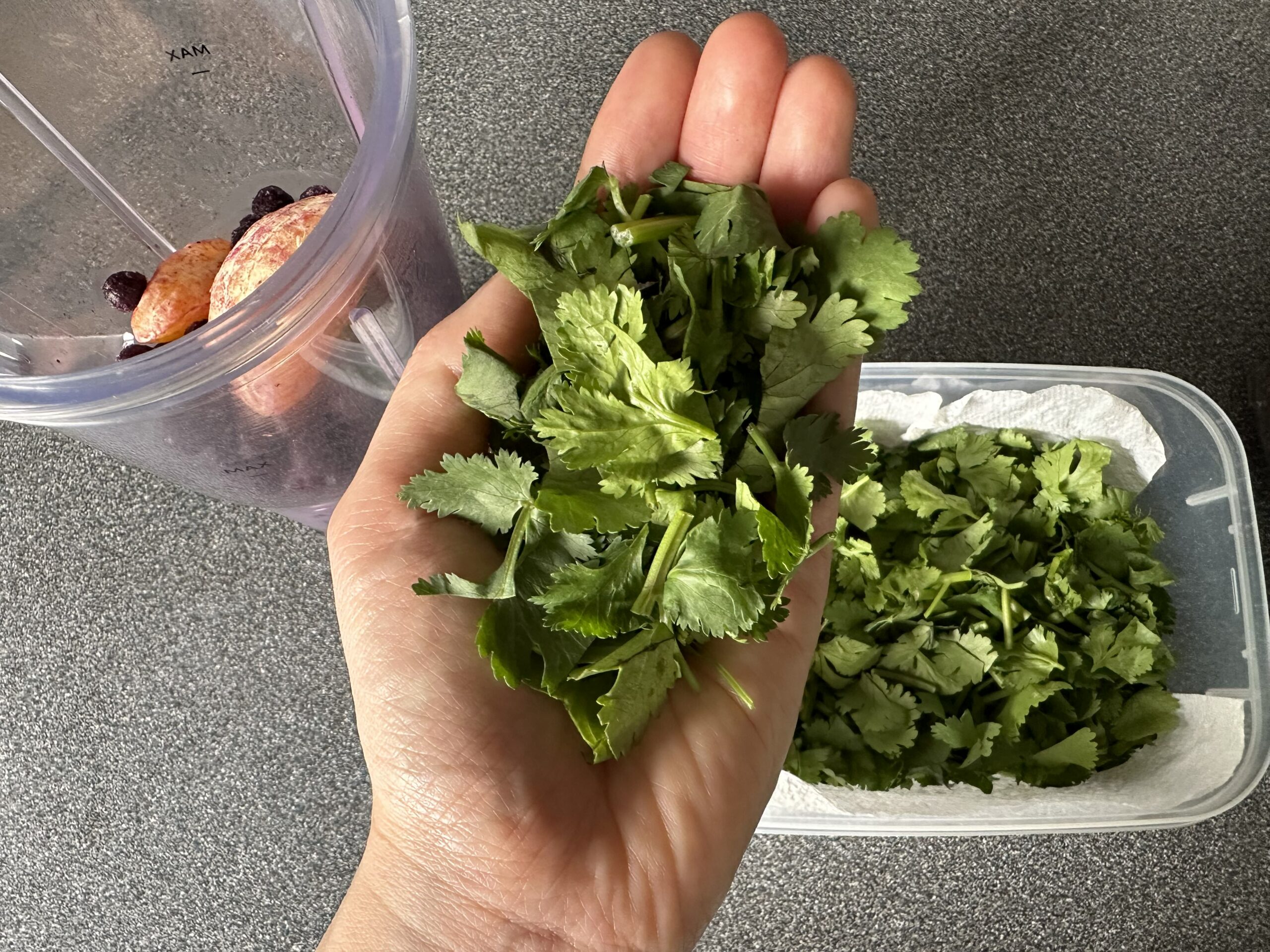 Coriander-Handful Coriander Handful