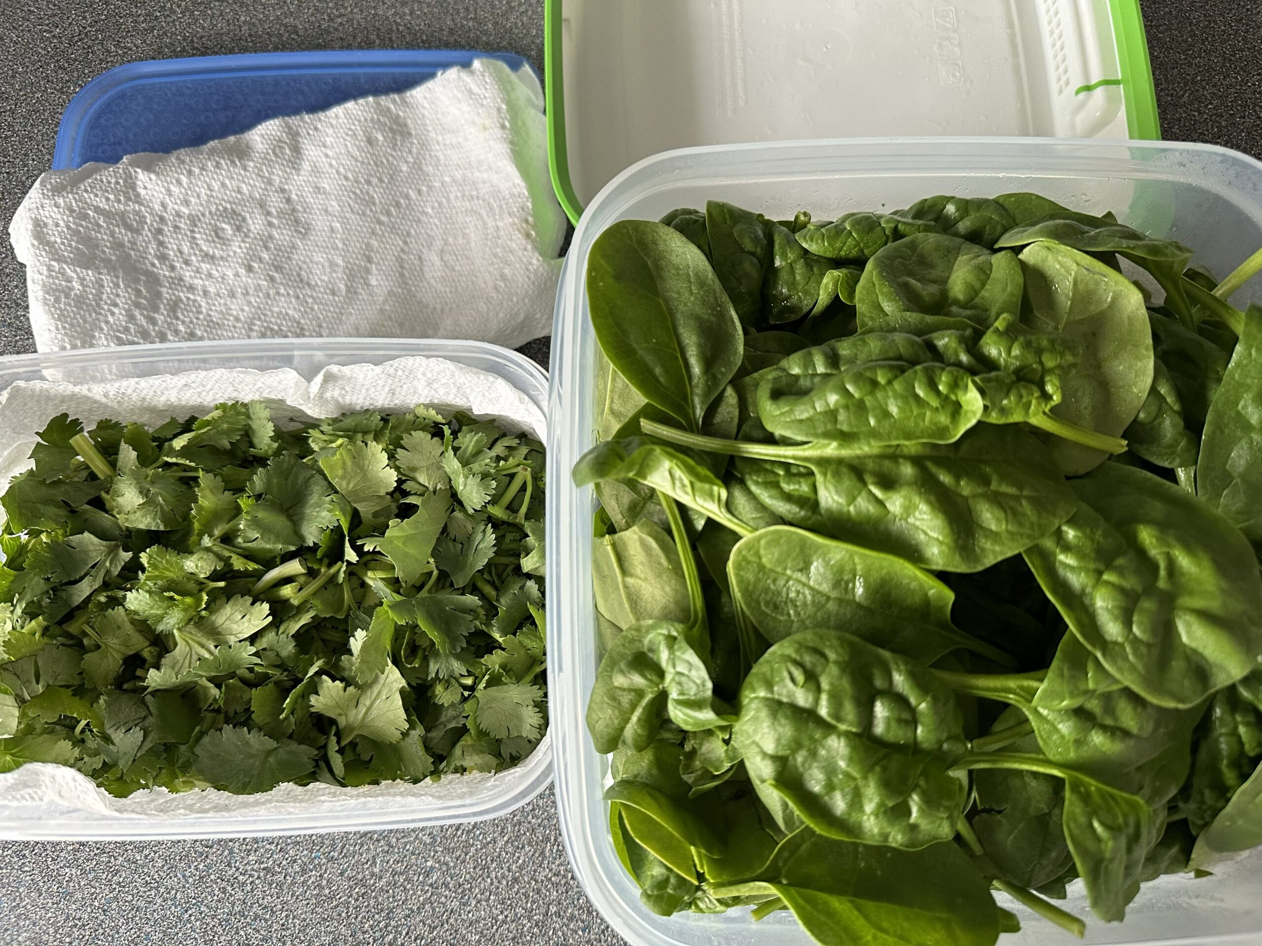 Spinach-and-Coriander Spinach And Coriander